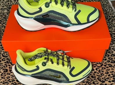 Nike Pegasus Gore-tex