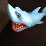 Shark Image 3
