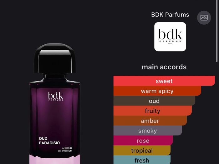 BDK Oud Paradisio 100ml
