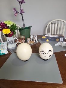 Ostrich eggshells