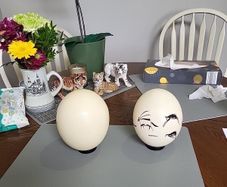Ostrich eggshells