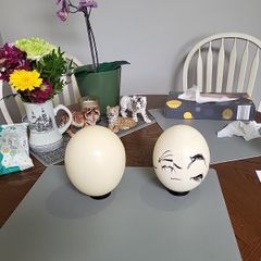 Ostrich eggshells