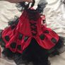 Brand New Ladybird Costume age 2 Image 4