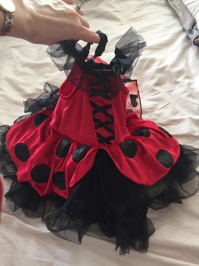 Brand New Ladybird Costume age 2