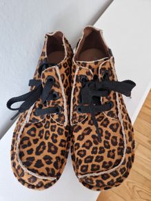 Clarks Shoes Funny Dream
