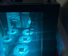 Custom built gaming pc