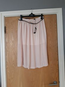 New River  Island  Light Pink Sheer Skirt. S.12