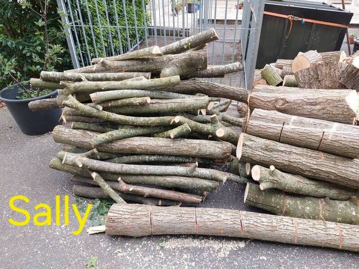 Firewood