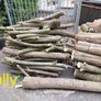 Firewood Image 7