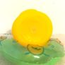 Holiday Duck Image 3