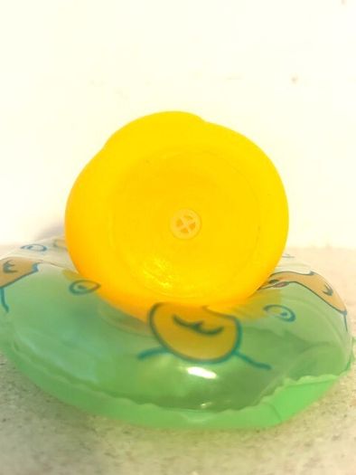 Holiday Duck