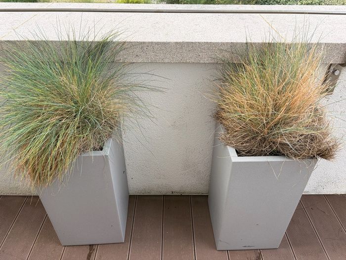 Tall Flower Pot