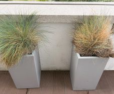 Tall Flower Pot