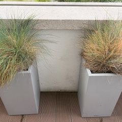Tall Flower Pot