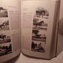 Give Your Horse a Chance (Allen's Classic Series) (Hardcover)  Lt. Col. A. L. D'Endrody Image 10
