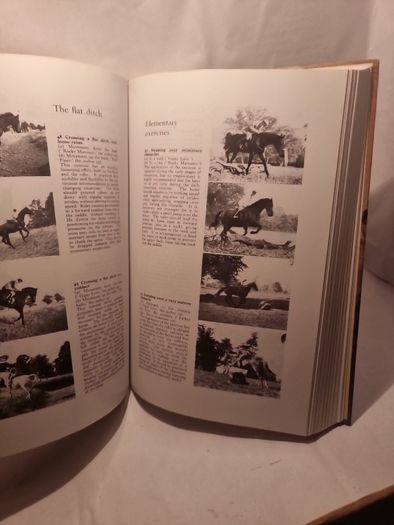 Give Your Horse a Chance (Allen's Classic Series) (Hardcover)  Lt. Col. A. L. D'Endrody