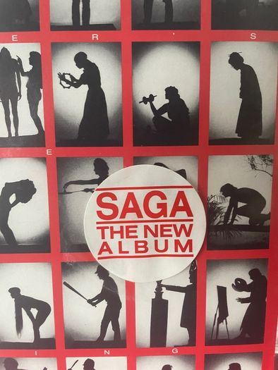 Saga - The Beginner's Guide To Throwing Shapes