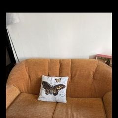 couch bed, sofa bed, bed settee.