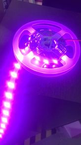 5 Meter Pink LED Light Strip Complete with 60 W Driver