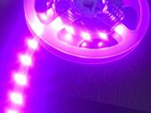 5 Meter Pink LED Light Strip Complete with 60 W Driver