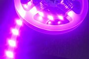 5 Meter Pink LED Light Strip Complete with 60 W Driver