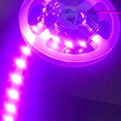 5 Meter Pink LED Light Strip Complete with 60 W Driver