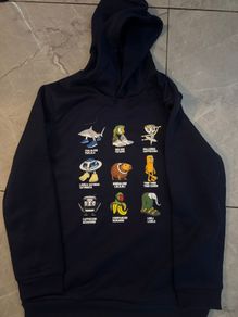 boys hoodie