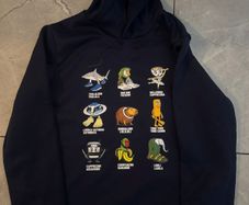 boys hoodie