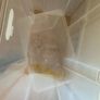2 clear plastic storage boxes  80ltr Image 5