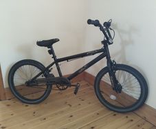 spine x rated BMX