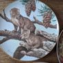 John Francis - The Forest Year - 5 Porcelain Collection Plates Image 2
