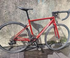 Cannondale CAAD Optimo 1 Size 54