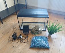 fish tank