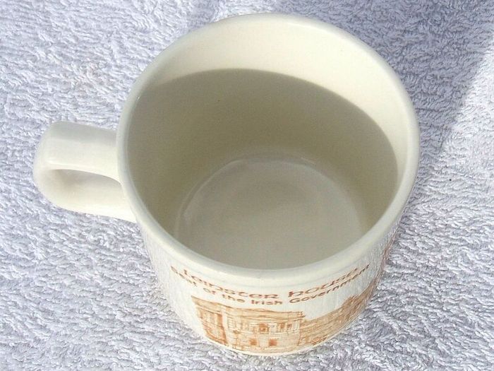 1988 DUBLIN MILLENNIUM (Carrigdhoun Co Op) - a commemorative Leinster House mug (free to collect)