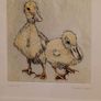 Framed Annabel Langrish Duckling Print Image 2