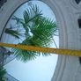Beautiful Mirror Image 3