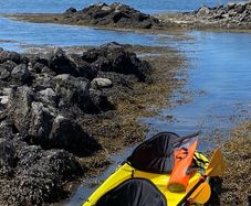trinidad kayak