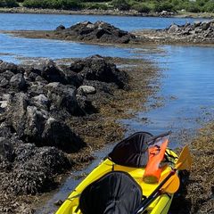 trinidad kayak