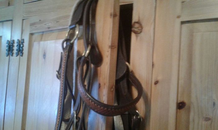 Bridle /bitless