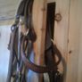 Bridle /bitless Image 2
