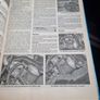 Nissan Almera and Tino Petrol Service and Repair Manual (Haynes Service and... (Hardback) Image 7