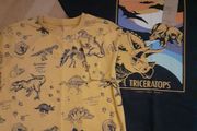 Next Dino Tshirts Age 9 yrs