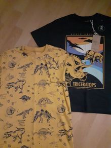 Next Dino Tshirts Age 9 yrs