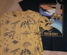 Next Dino Tshirts Age 9 yrs