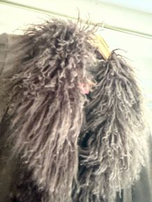Real leather designer coat