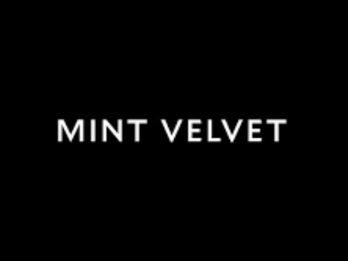 Mint Velvet Dress