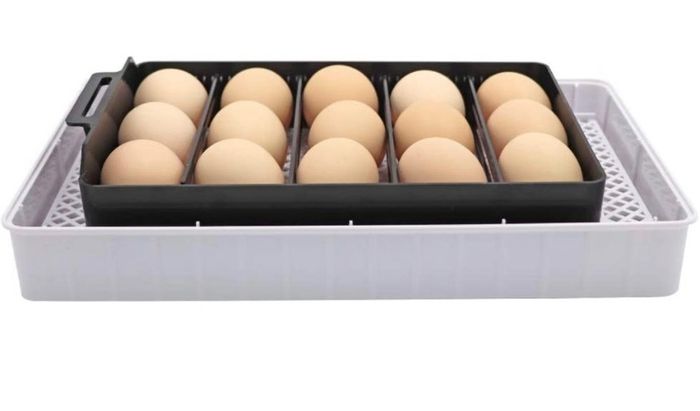 Egg Incubator Automatic Digital Fully Automatic Hatcher Chicken Poultry Hatcher Egg Hatcher Incubator with Automatic Temperature Control (FREE POSTAGE)