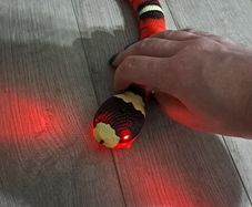 Cat Toy