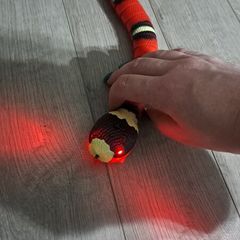 Cat Toy