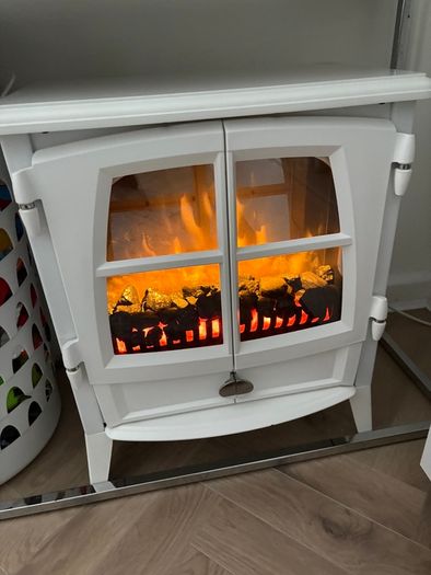Electric fire